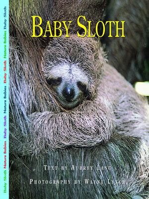 cover image of Baby Sloth